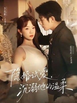 隐婚试爱，沉溺他的温柔