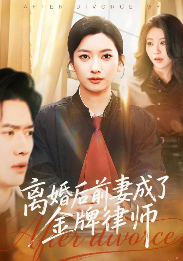 离婚后前妻成了金牌律师
