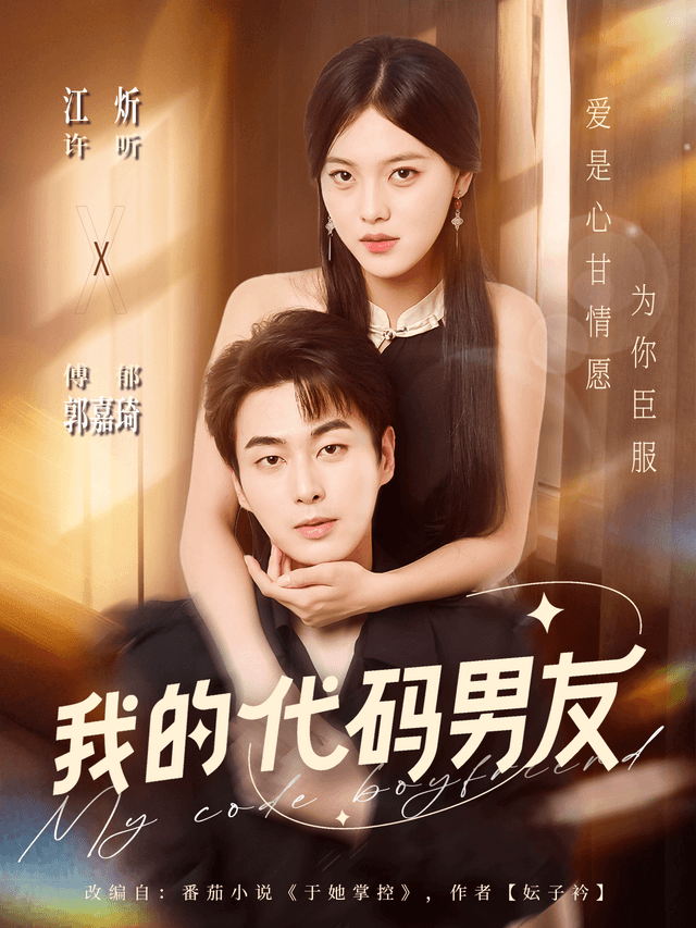 我的代码男友
