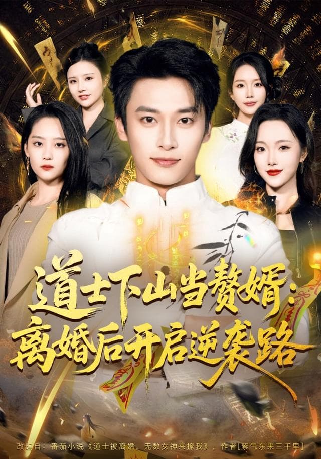 道士下山当赘婿:离婚后开启逆袭路