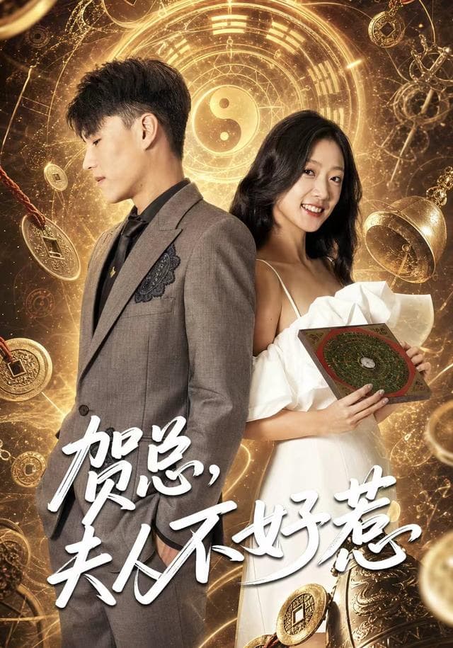 贺总,夫人不好惹