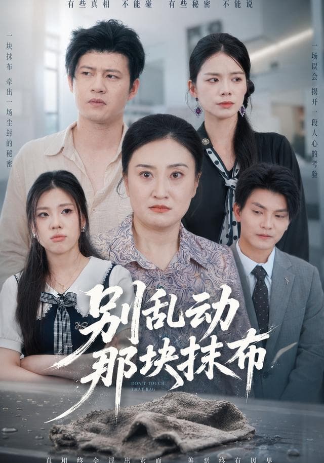 别乱动那块抹布