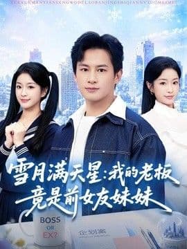 雪月满天星：我的老板竟是前女友妹妹