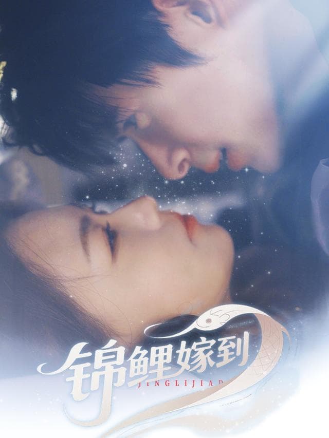 锦鲤嫁到