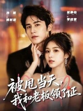 被甩当天，我和老板领了证
