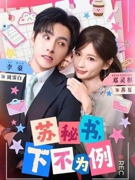 苏秘书,下不为例