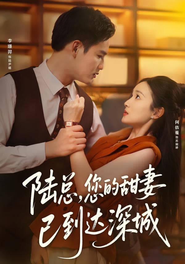陆总,您的甜妻已到达深城