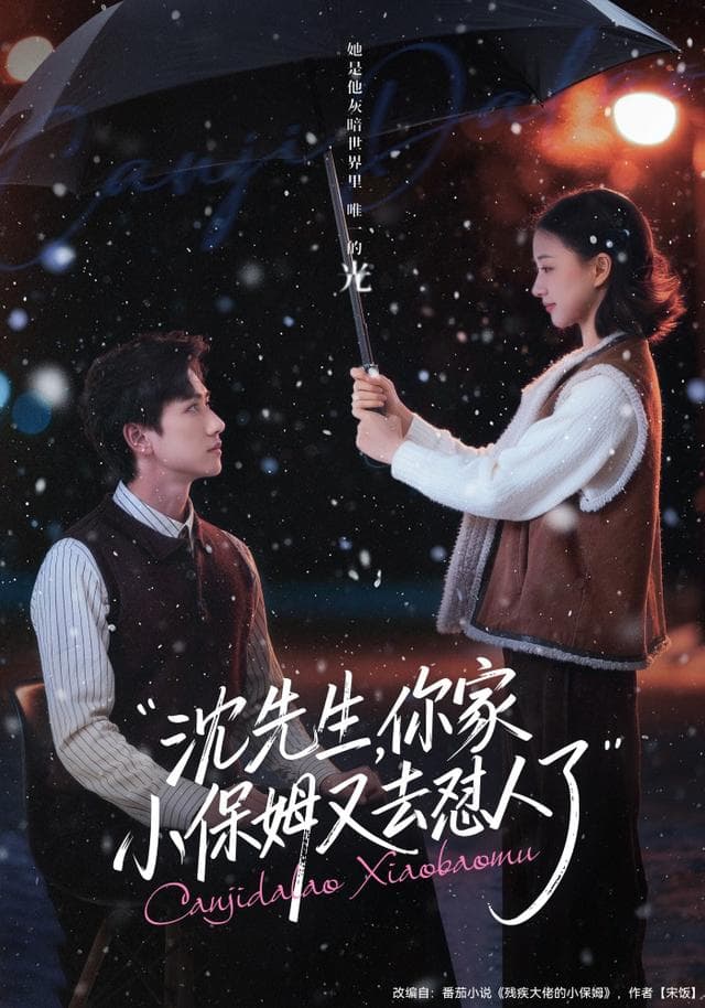 沈先生,你家小保姆又去怼人了