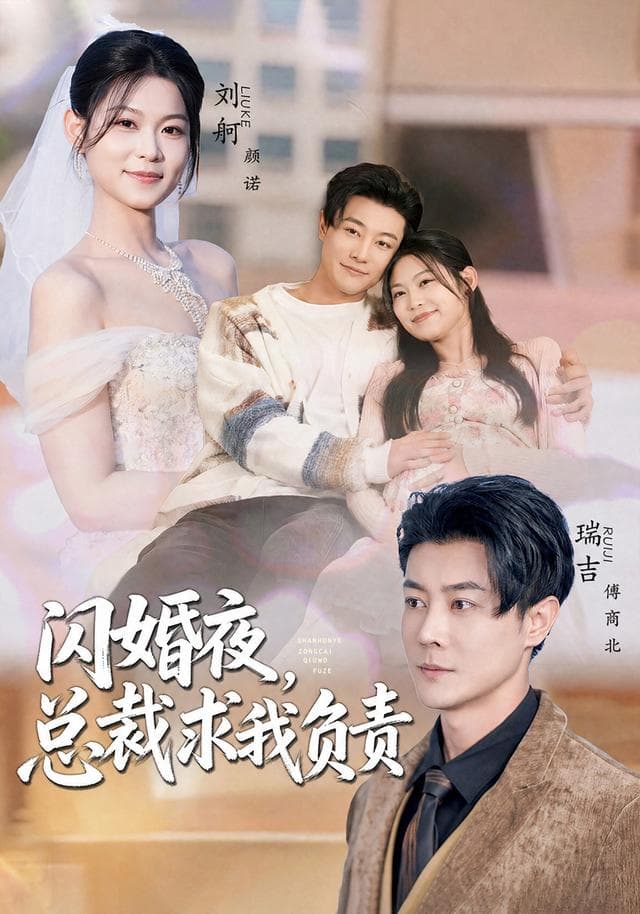 闪婚夜,总裁求我负责