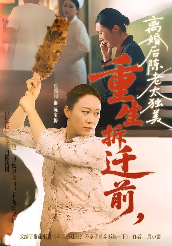 重生拆迁前,离婚后陈老太独美