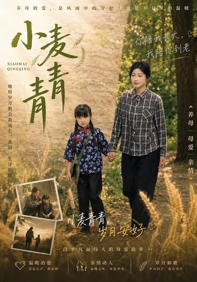 小麦青青