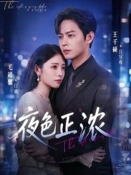 夜色正浓(2026)