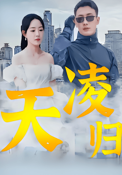 凌天归