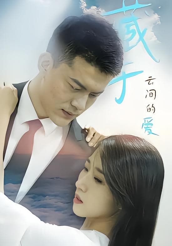 藏于云间的爱