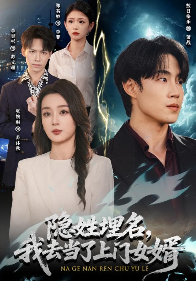 隐姓埋名,我去当了上门女婿