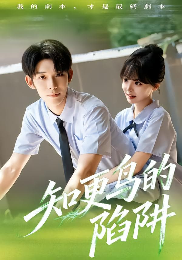 知更鸟的陷阱