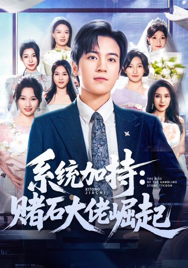 系统加持:赌石大佬崛起