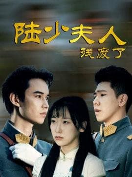 陆少夫人残废了