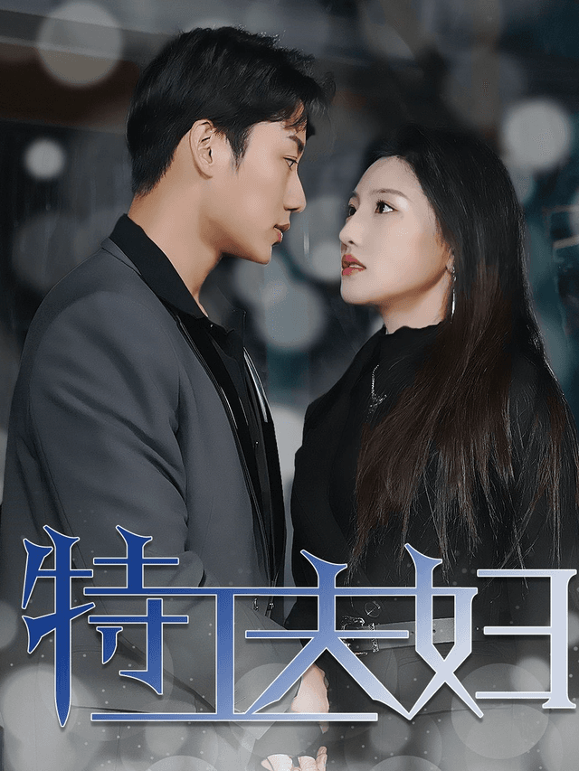 特工夫妇