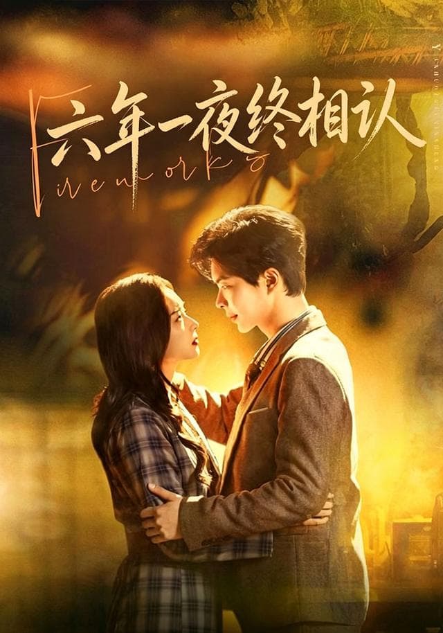 六年一夜终相认