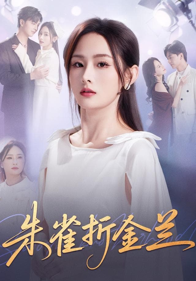 朱雀折金兰