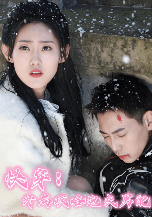 快穿：开局攻略炮灰男配