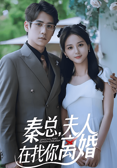 秦总夫人在找你离婚