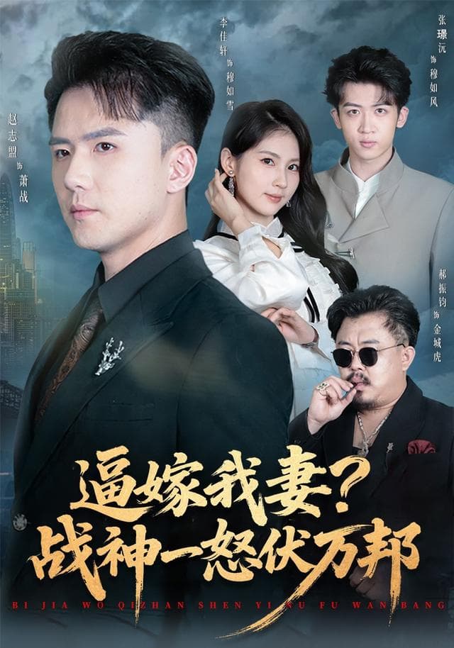 逼嫁我妻?战神一怒伏万邦