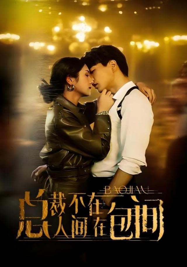 总裁不在人间在包间
