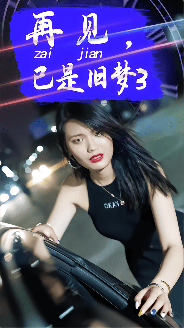 再见,已是旧梦3