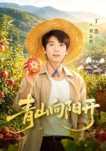 青山向阳开
