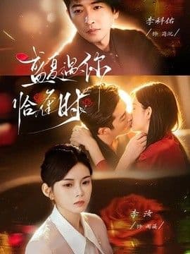盛夏遇你恰逢时(婚夜温柔)