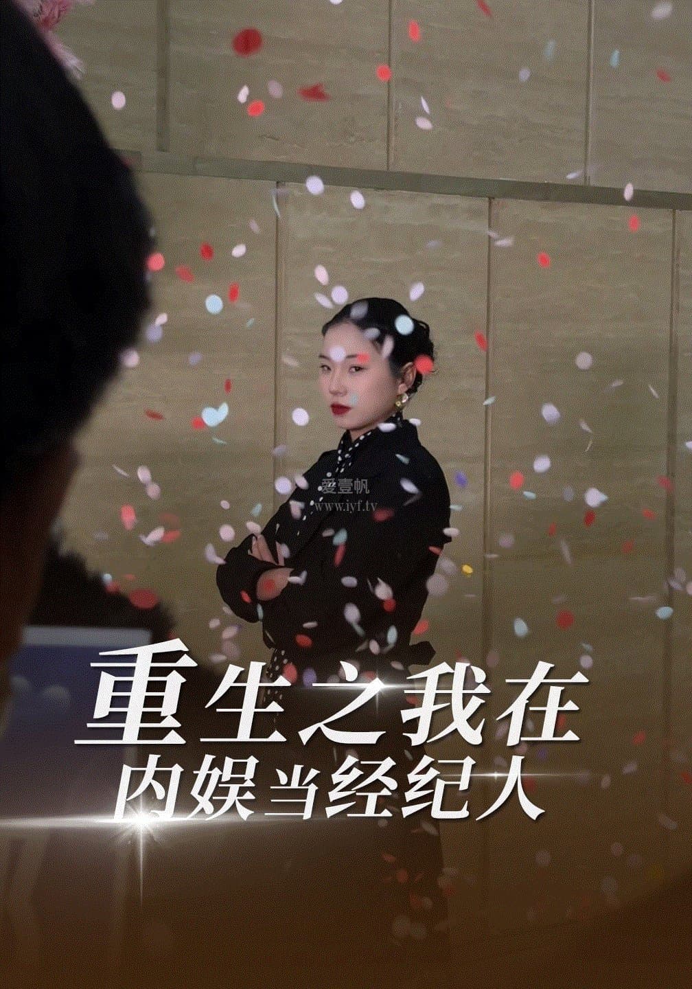 重生之我在内娱当经纪人
