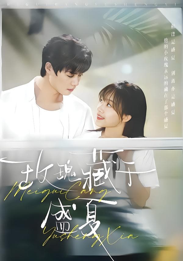 玫瑰藏于盛夏