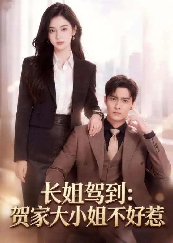 长姐驾到:贺家大小姐不好惹