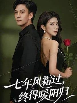 七年风霜过，终得暖阳归