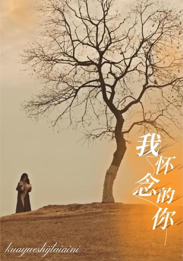 我怀念的你
