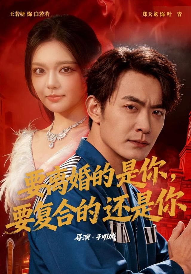要离婚的是你，要复合的还是你