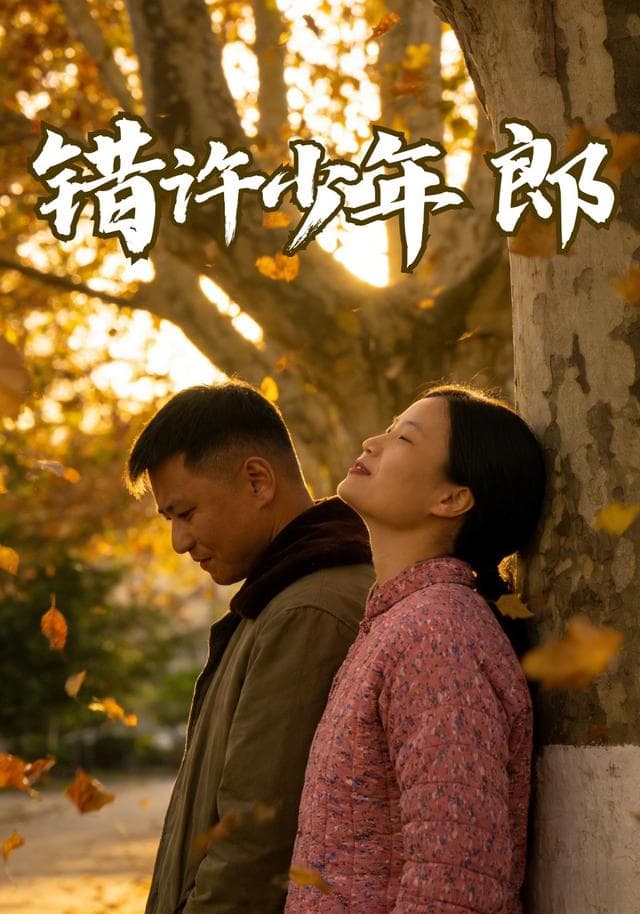 错许少年郎