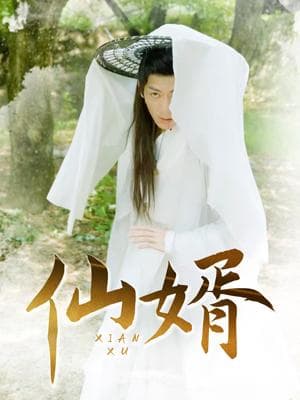 仙婿