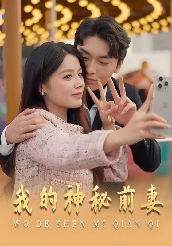 我的神秘前妻