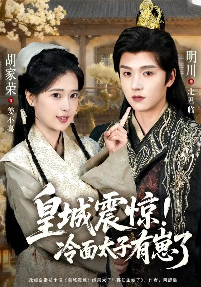皇城震惊!冷面太子有崽了