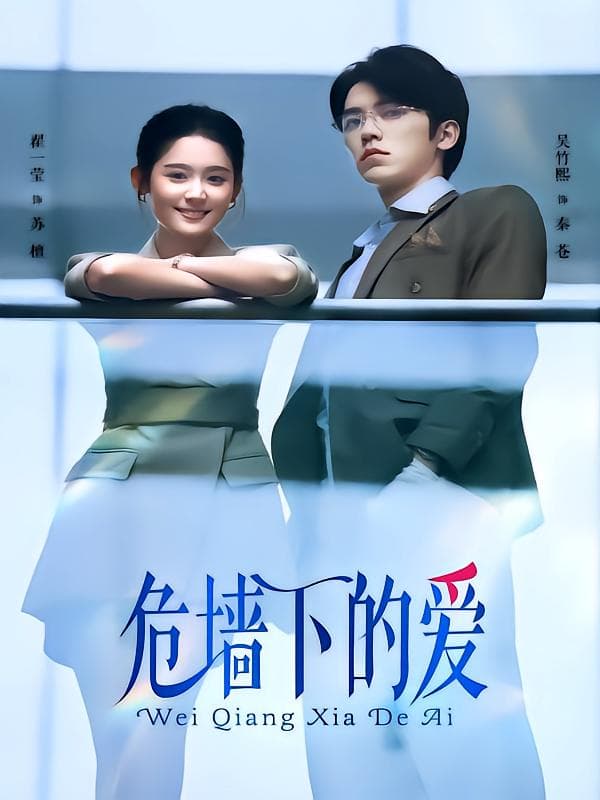 危墙下的爱