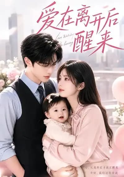 爱在离开后醒来