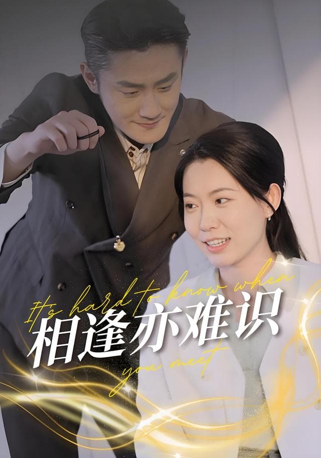 相逢亦难识