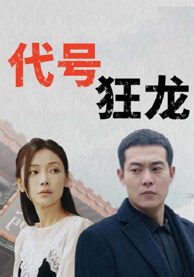代号狂龙