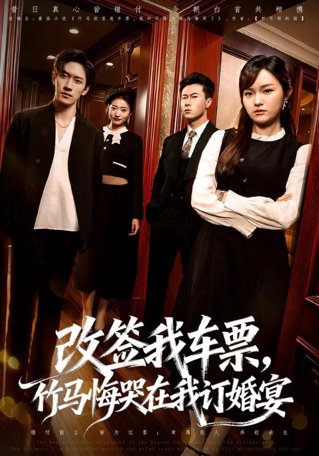 改签我车票,竹马悔哭在我订婚宴