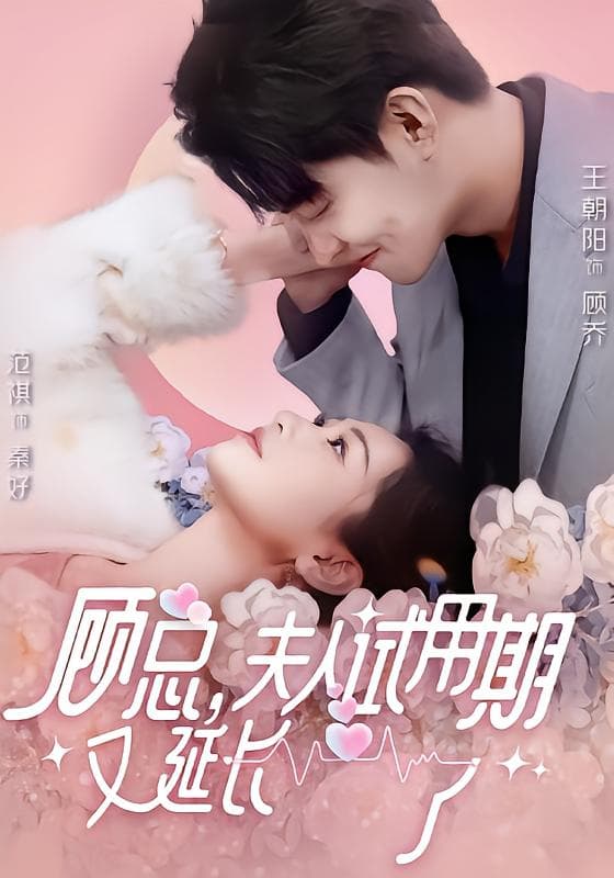 顾总，夫人试用期又延长了