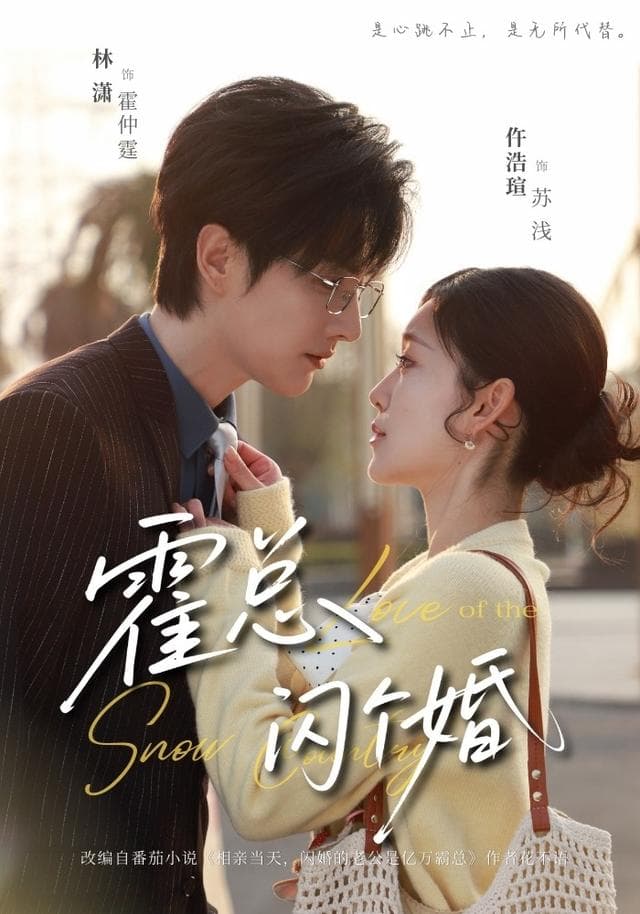 霍总,闪个婚