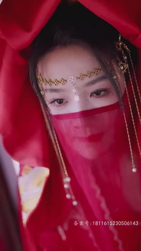 冷王独宠,替嫁毒妃倾天下